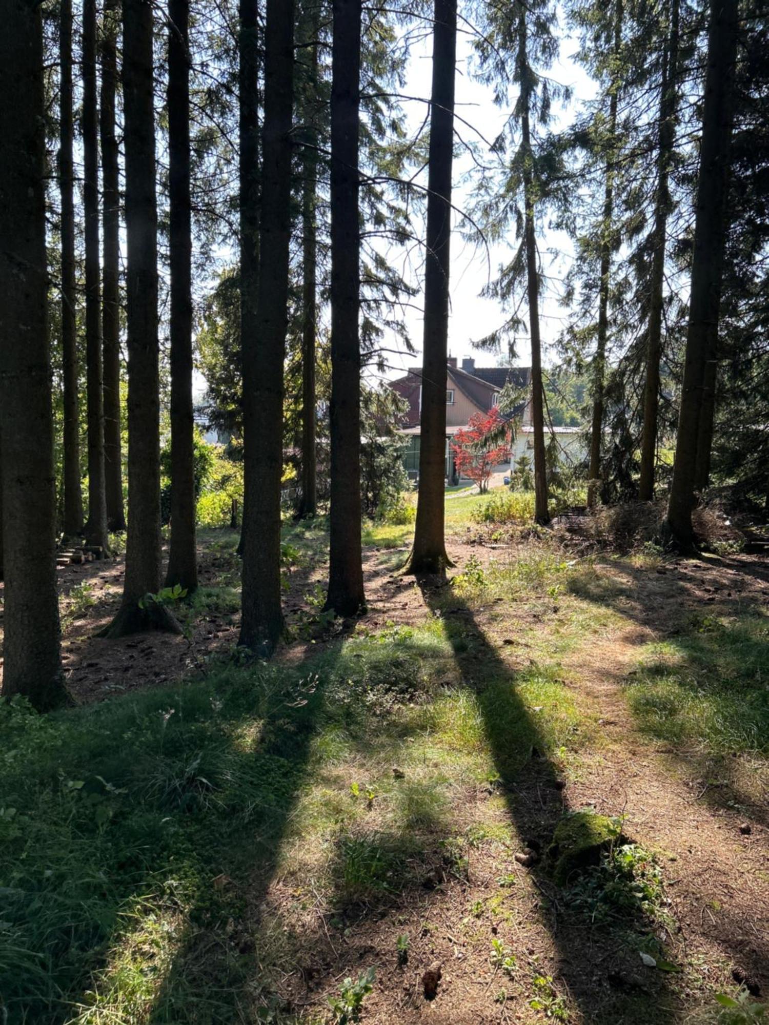 Bergwiesenblick38678 Clausthal-Zellerfeld Exterior photo